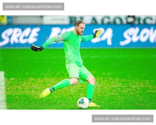 葡超授权：正版联赛，尊享荣耀